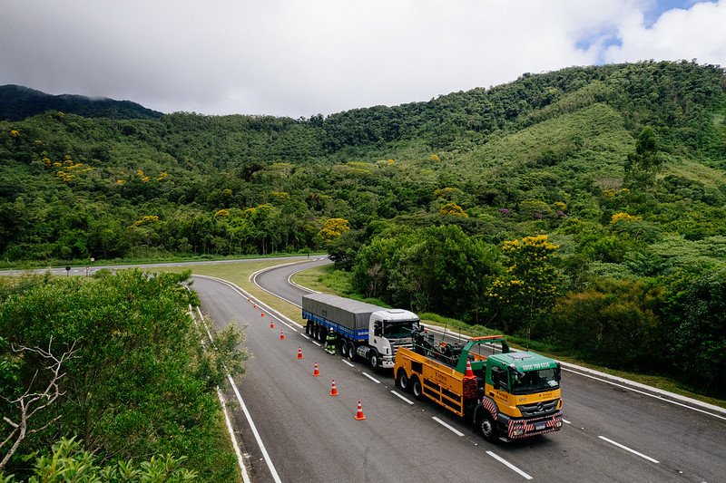 52426700392_5c314f0330_c