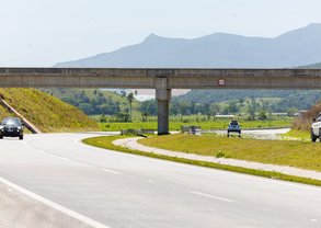 54101727287_0f8de98db0_k