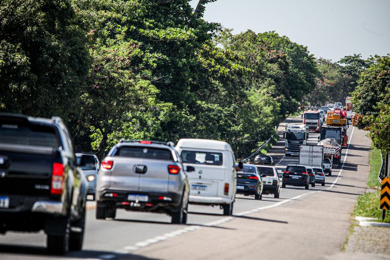 54324990544_5d72ef7040_o