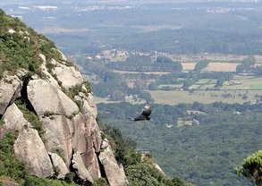 morro_do_anhangava_-_visto_de_cima