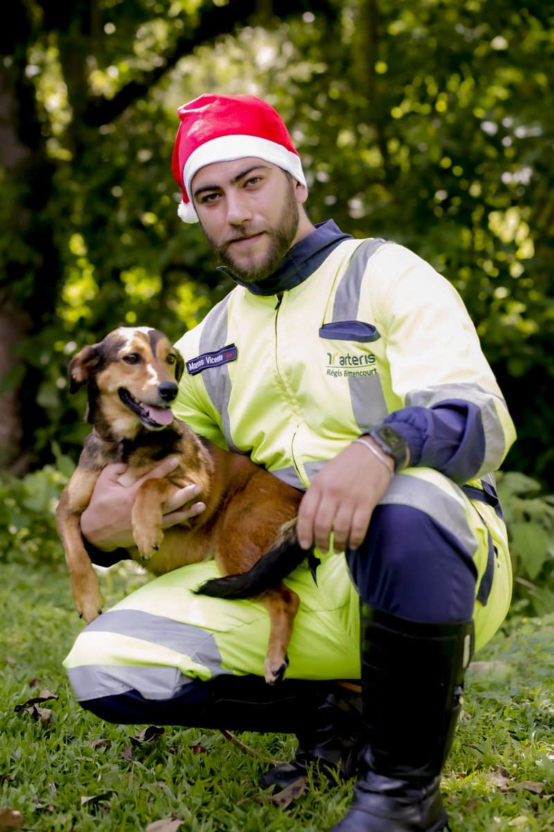 Arteris-AcaoCanina - 0082