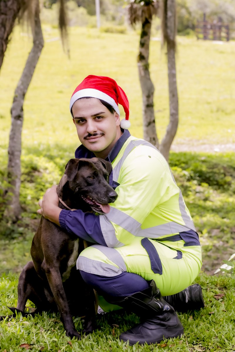 Arteris-AcaoCanina - 0199