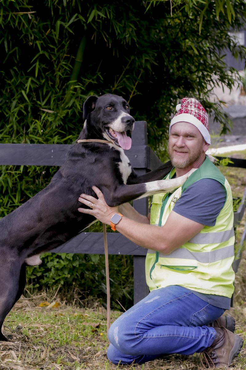 Arteris-AcaoCanina - 0552