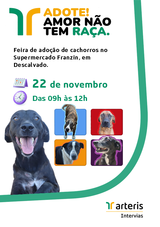 Cartaz Me Adota Intervias