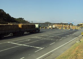 DSC08130