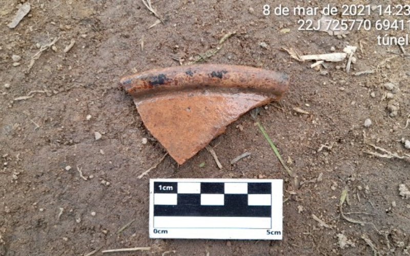 Figura (36)