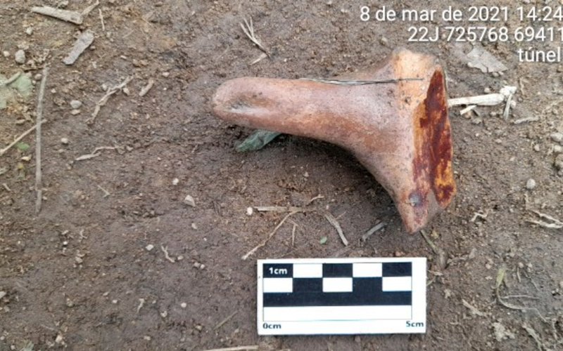 Figura (38)