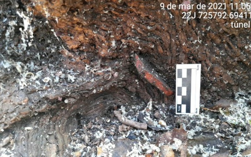 Figura 8