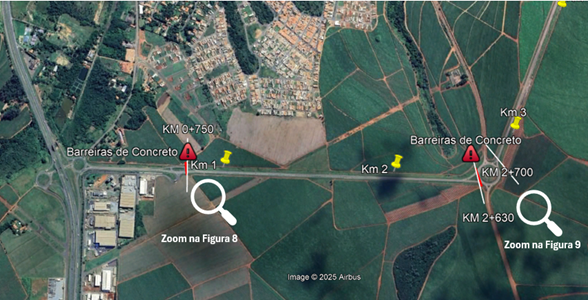Imagem contorno de araras