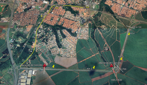 Imagem contorno de araras 2