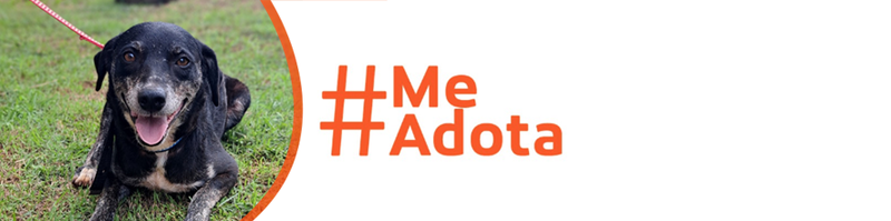 MeAdota