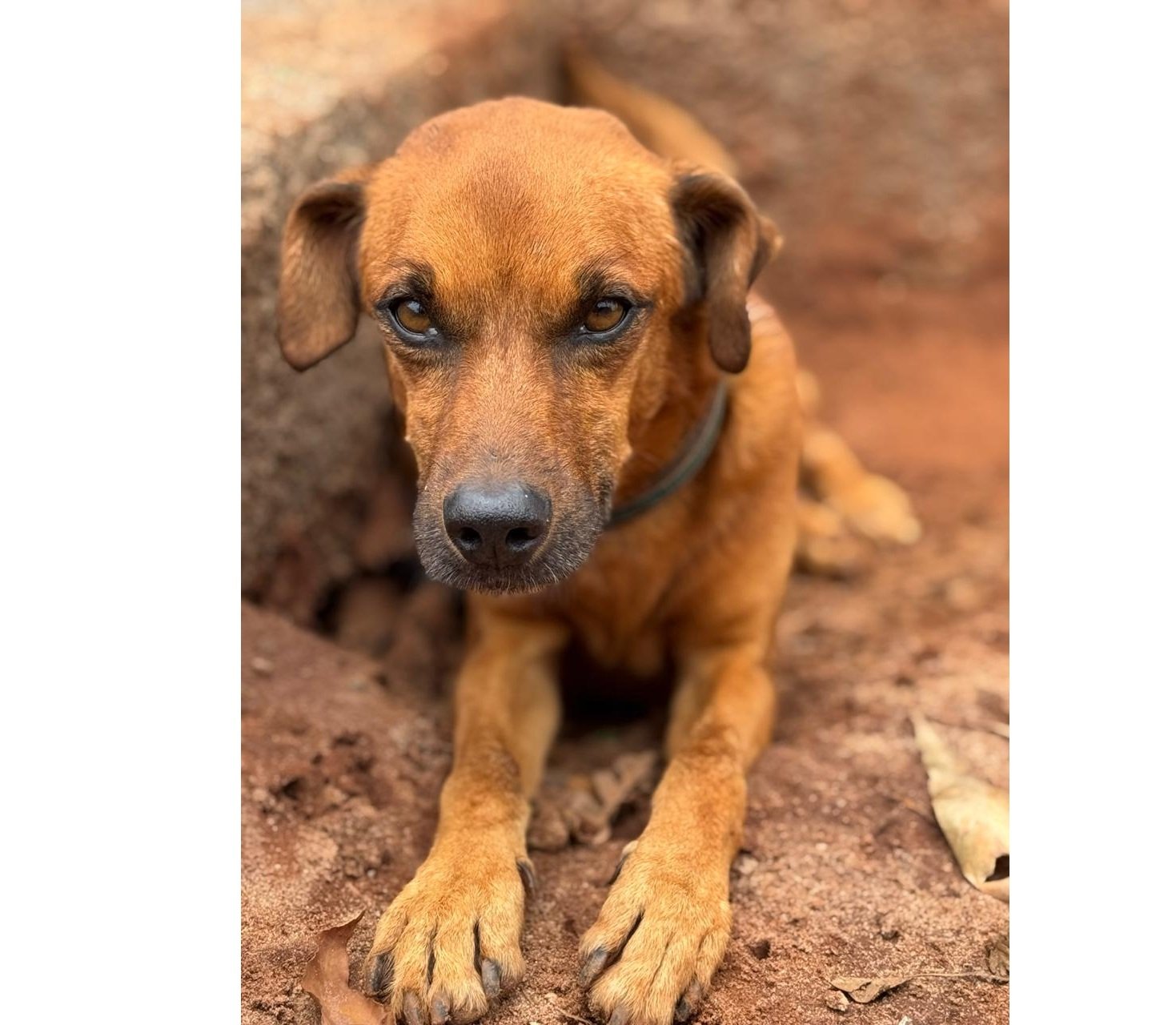 WhatsApp Image 2026-01-14 at 11.34.34 (1) - Copia