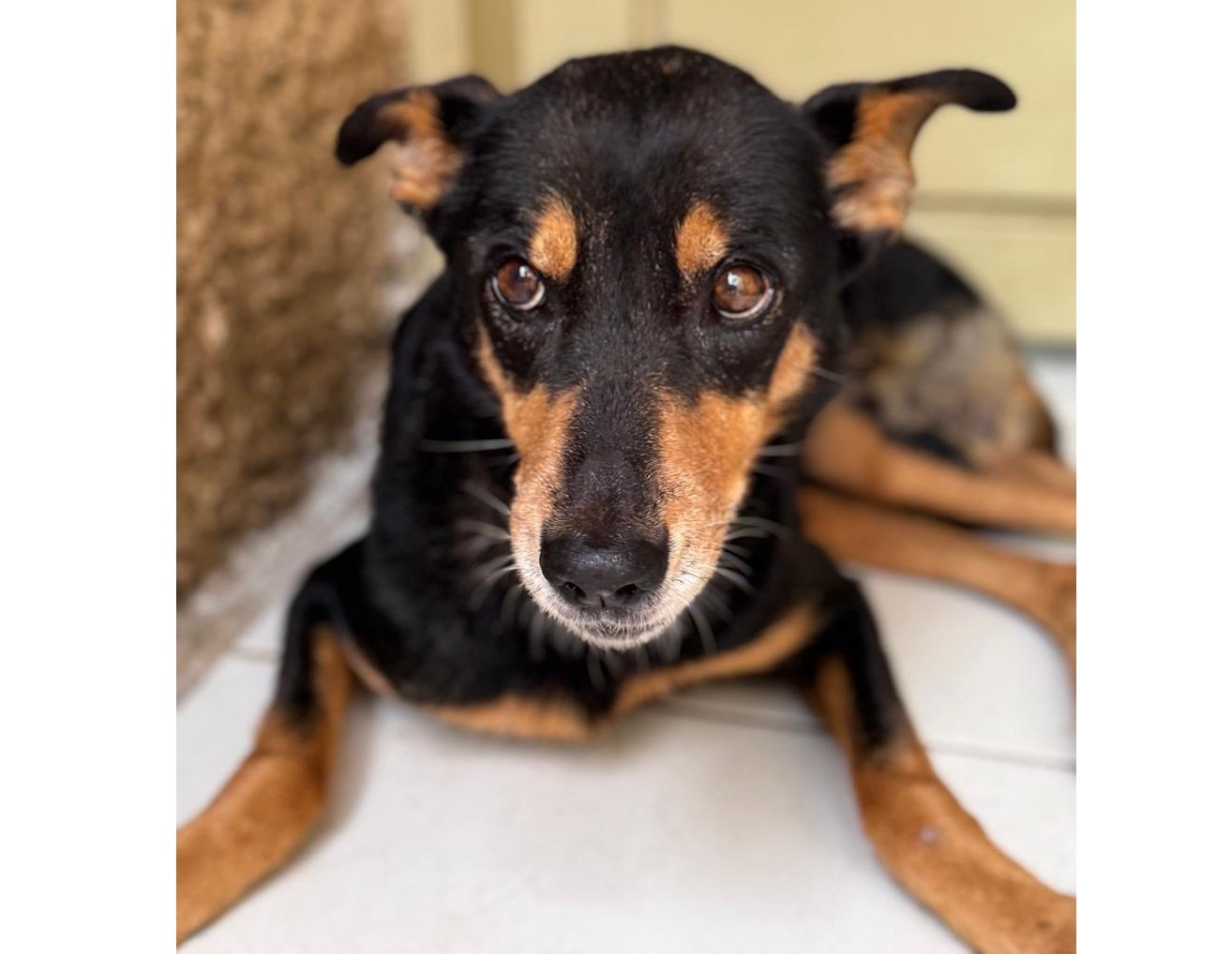 WhatsApp Image 2026-01-14 at 11.34.33 - Copia