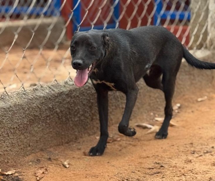 WhatsApp Image 2026-01-14 at 11.34.34 - Copia