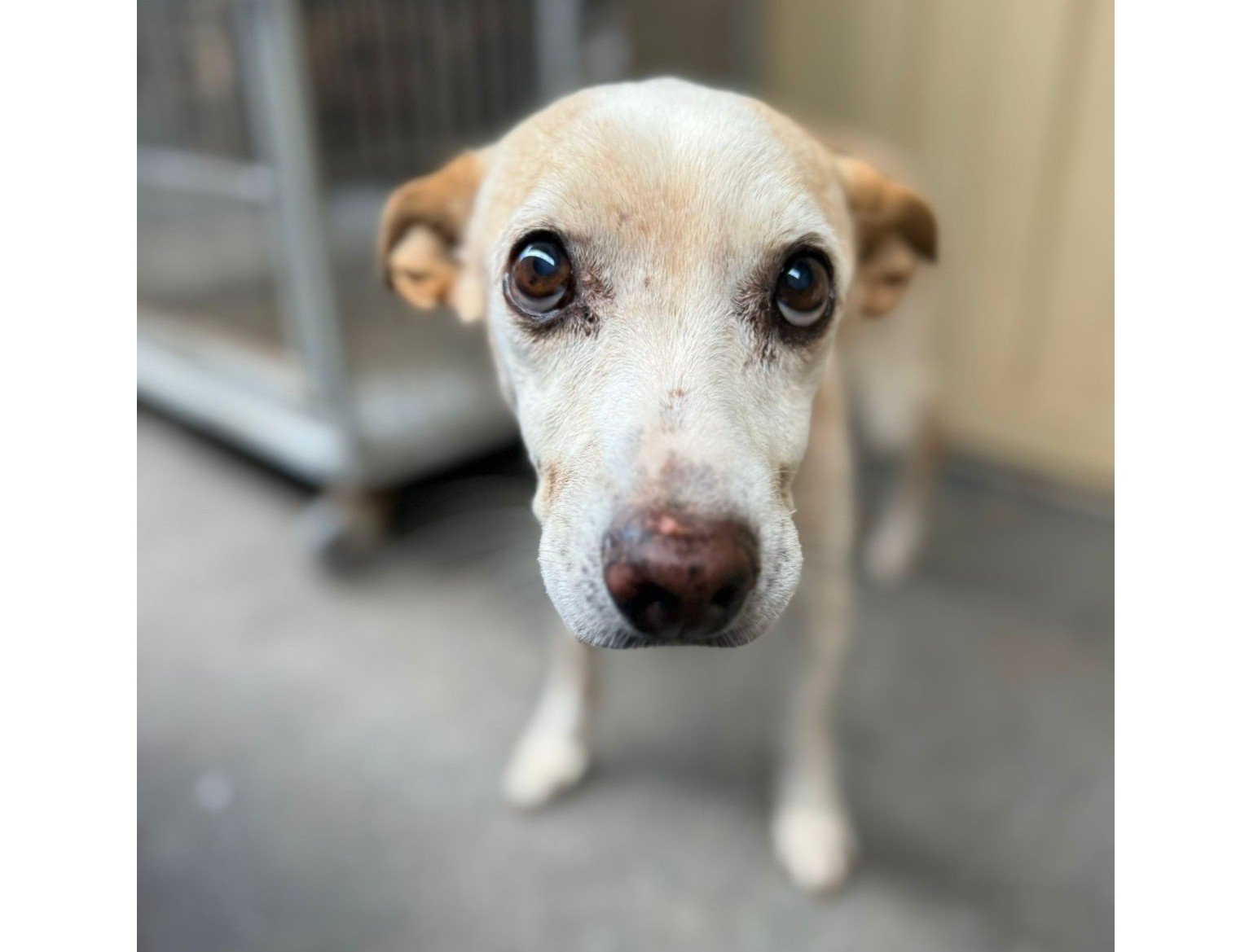 WhatsApp Image 2026-01-14 at 11.34.33 - Copia