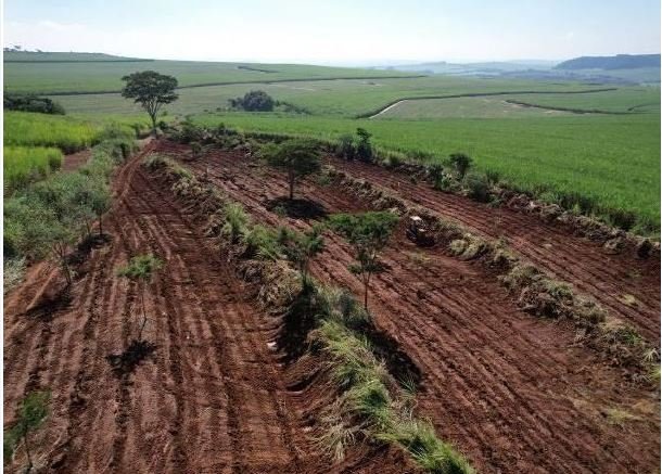 Área de plantio compensatório