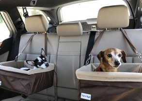 transporte-cachorro-cadeira