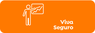 viva seguro